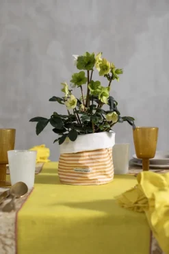 Cestino Pane Antimacchia