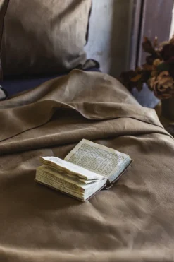 Lenzuolo Filo in Lino
