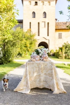 Tovaglia Filo in Cotone